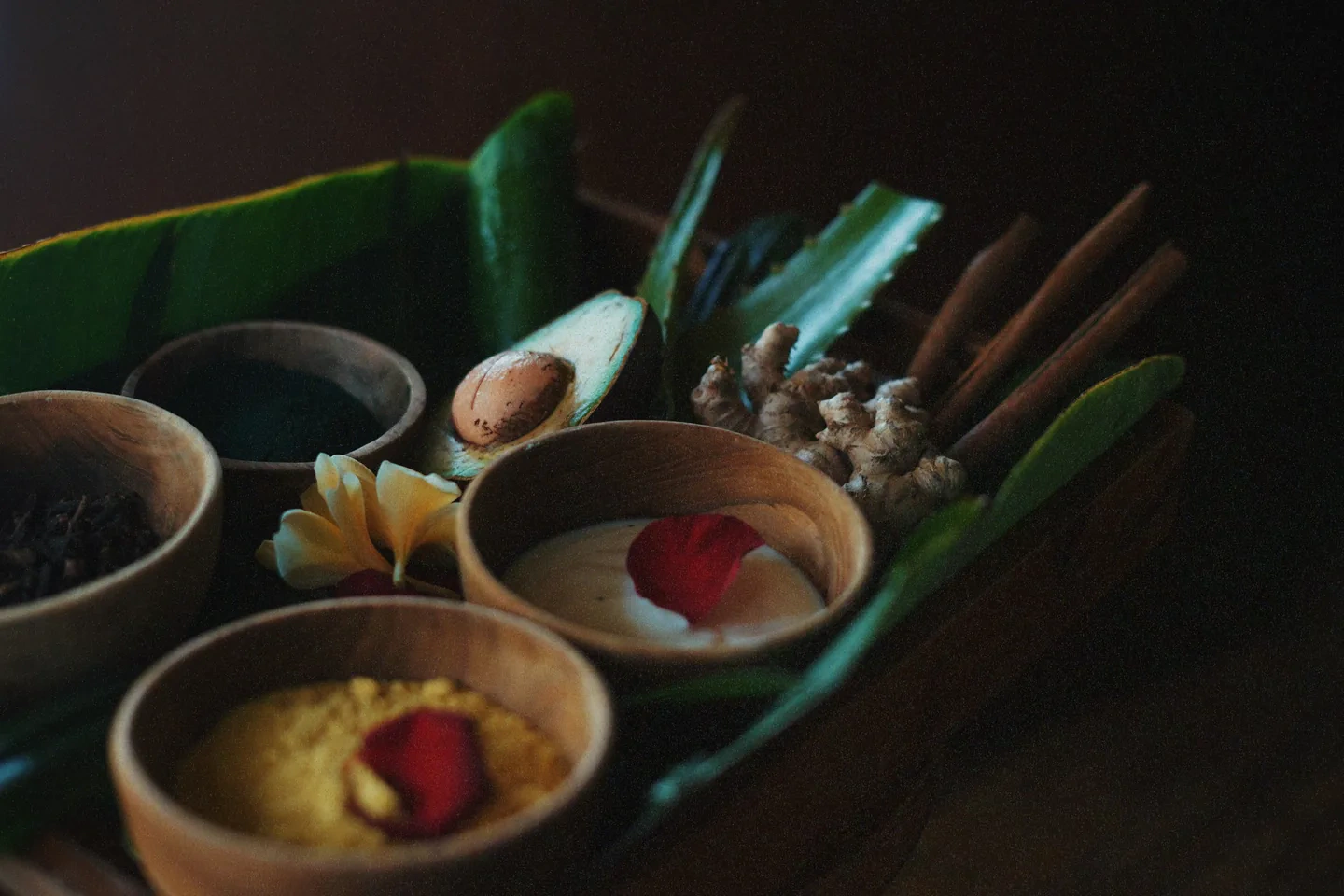 Herbal Revival – ingredient